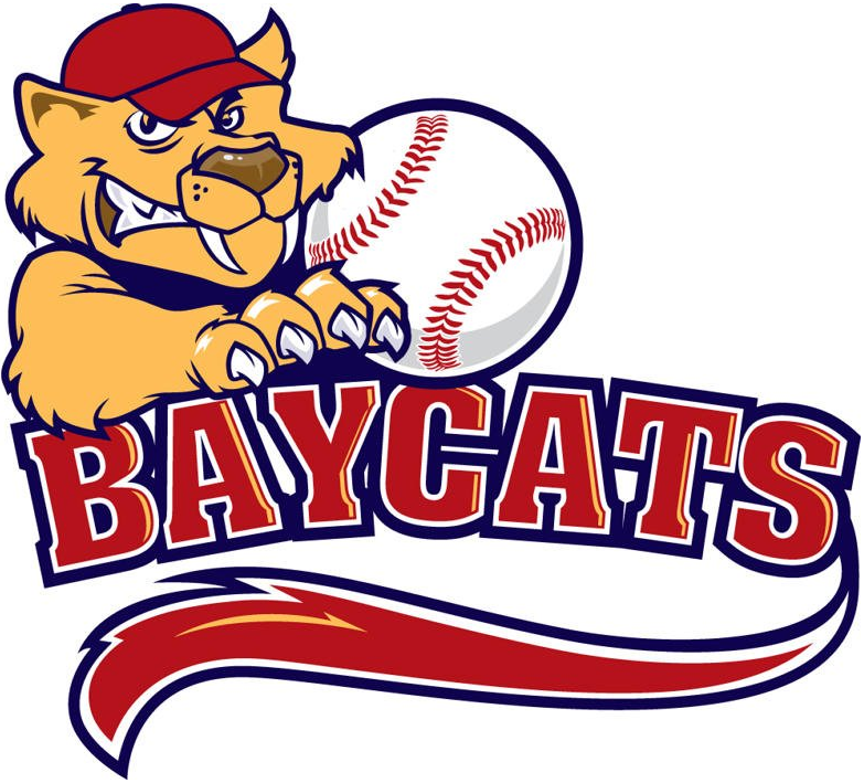 Barrie Baycats 2011-Pres Primary Logo iron on transfers for T-shirts